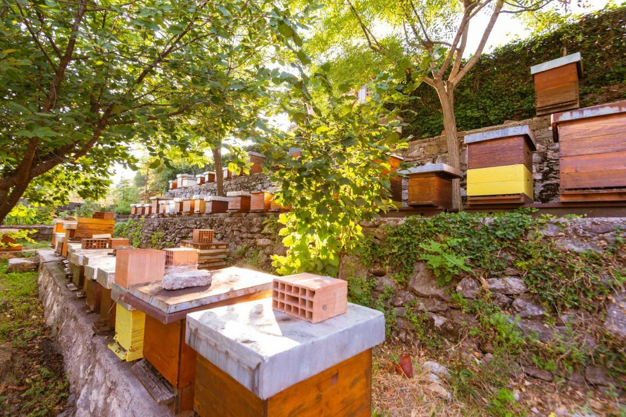 Honey Farm House Virpazar Eksteriør billede